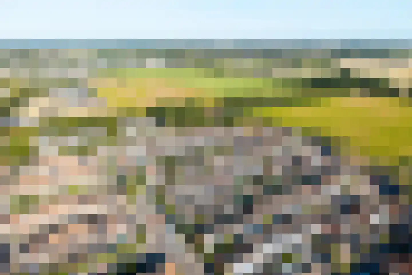 Kanariesprenk 227 Vlissingen thumbnail 5