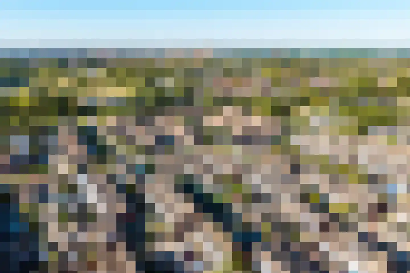 Kanariesprenk 227 Vlissingen thumbnail 6