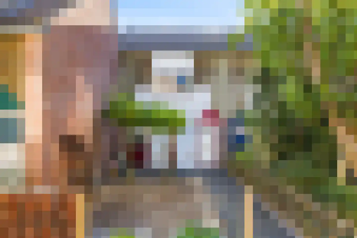 Kanariesprenk 227 Vlissingen thumbnail 7