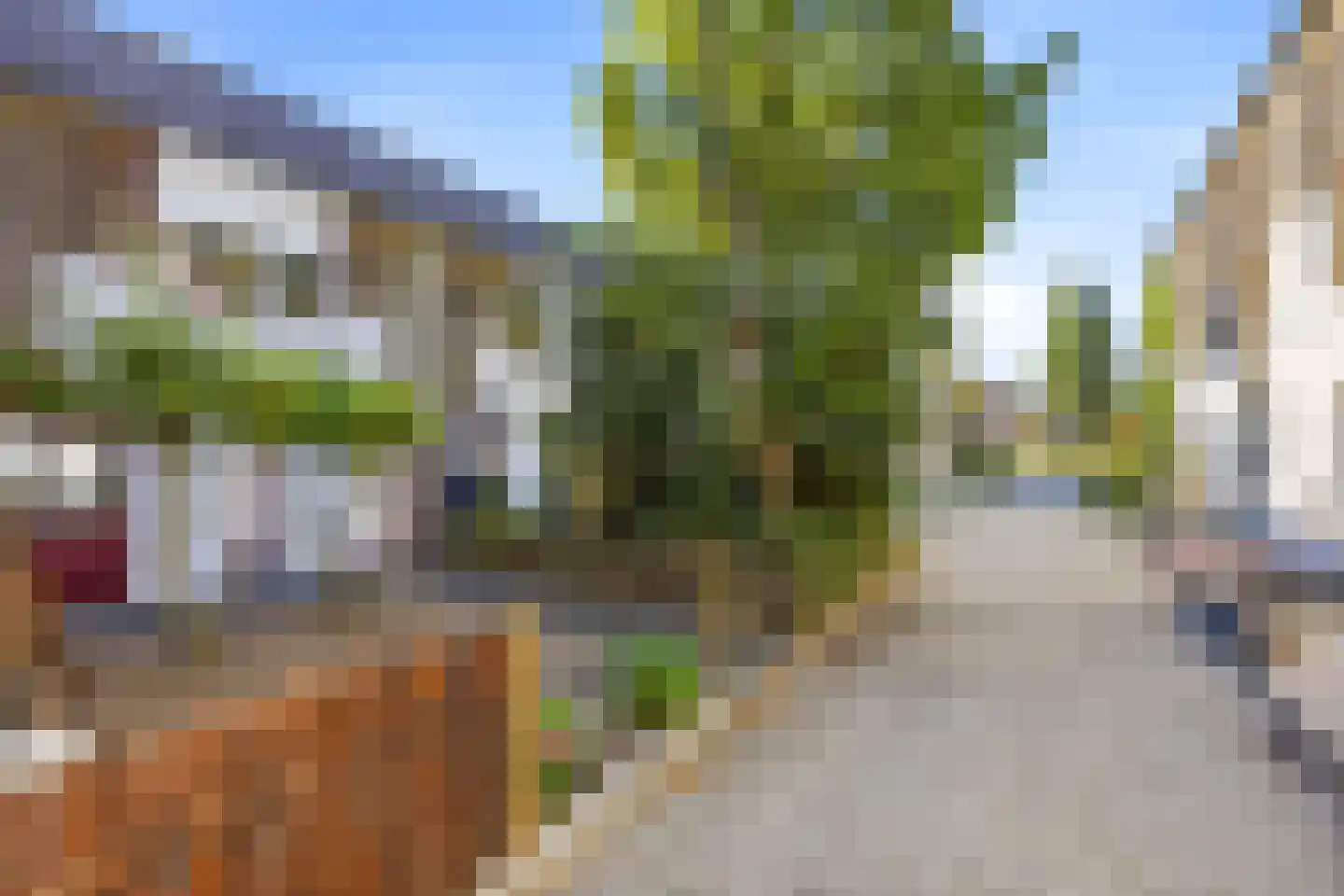 Kanariesprenk 227 Vlissingen thumbnail 8