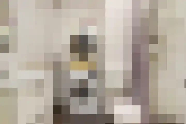 Kanariesprenk 25 Vlissingen thumbnail 21