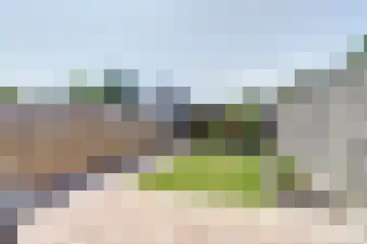 Kanariesprenk 25 Vlissingen thumbnail 22