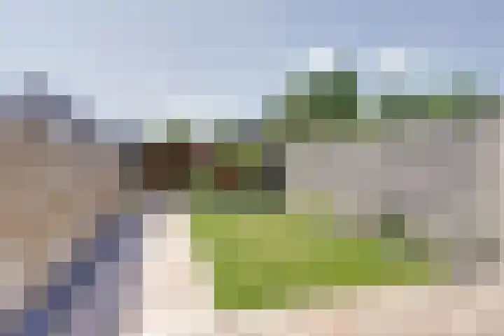Kanariesprenk 25 Vlissingen thumbnail 23