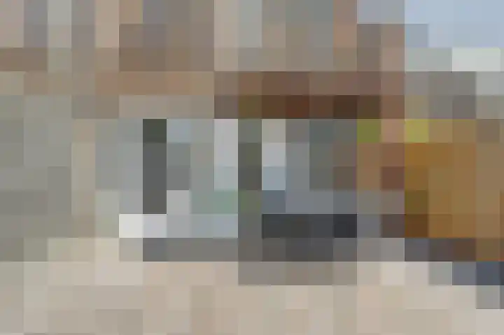 Kanariesprenk 25 Vlissingen thumbnail 26