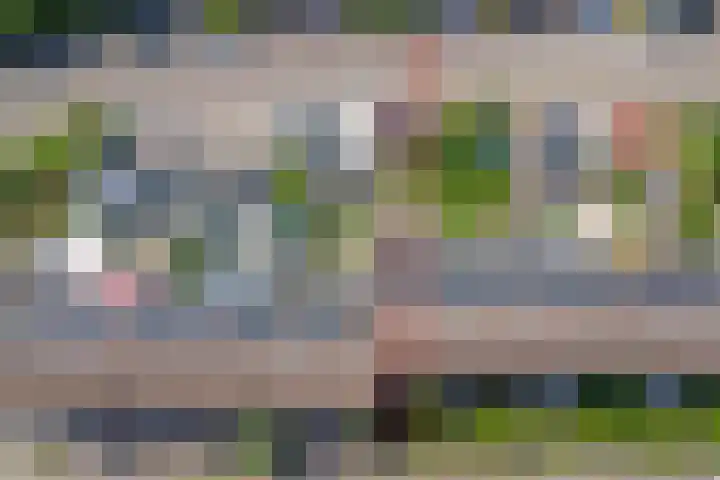 Kanariesprenk 25 Vlissingen thumbnail 27