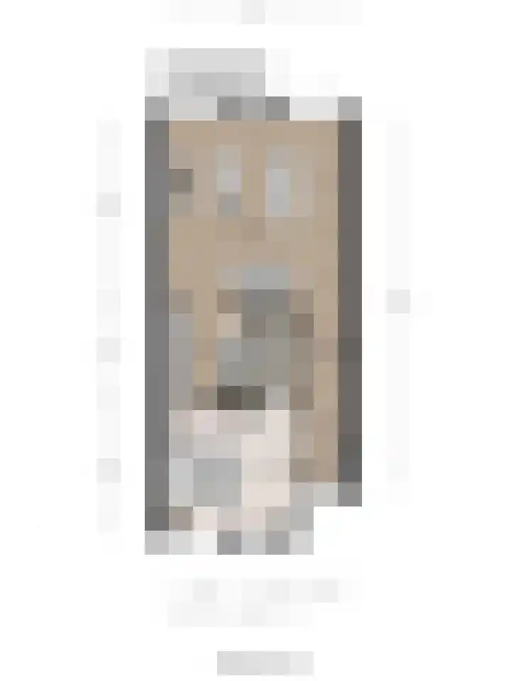 Kanariesprenk 25 Vlissingen thumbnail 30