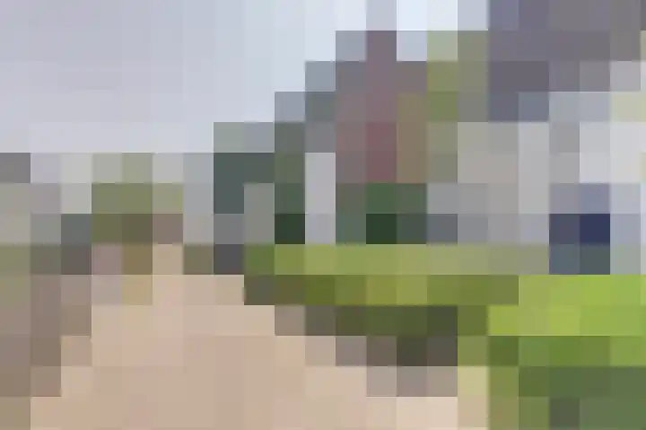 Kanariesprenk 25 Vlissingen thumbnail 33