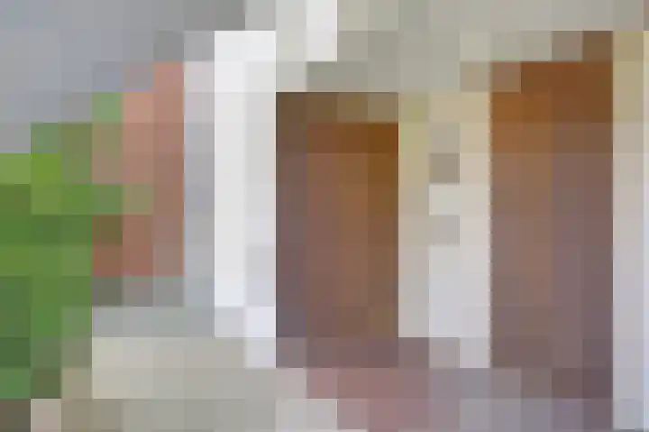 Kanariesprenk 25 Vlissingen thumbnail 4