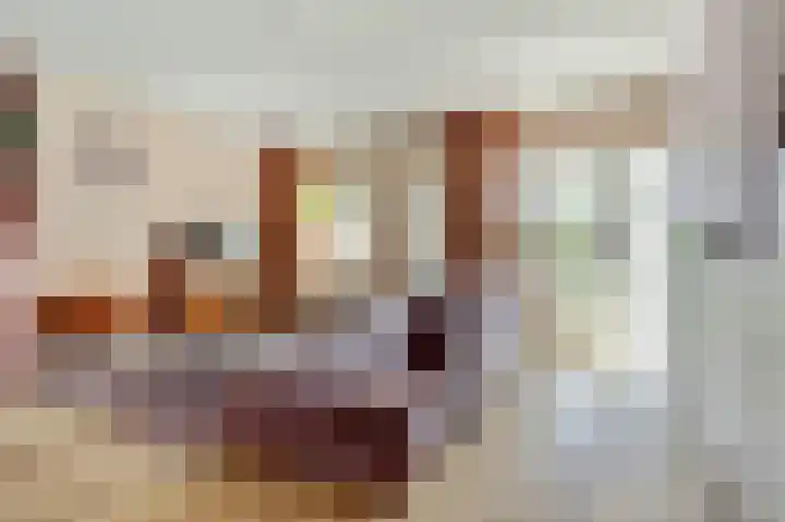 Kanariesprenk 25 Vlissingen thumbnail 7