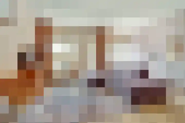 Kanariesprenk 25 Vlissingen thumbnail 8