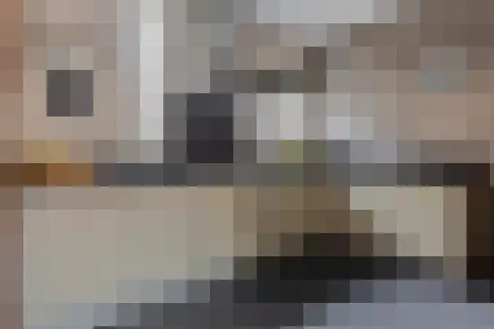 Kanariesprenk 255 Vlissingen thumbnail 10