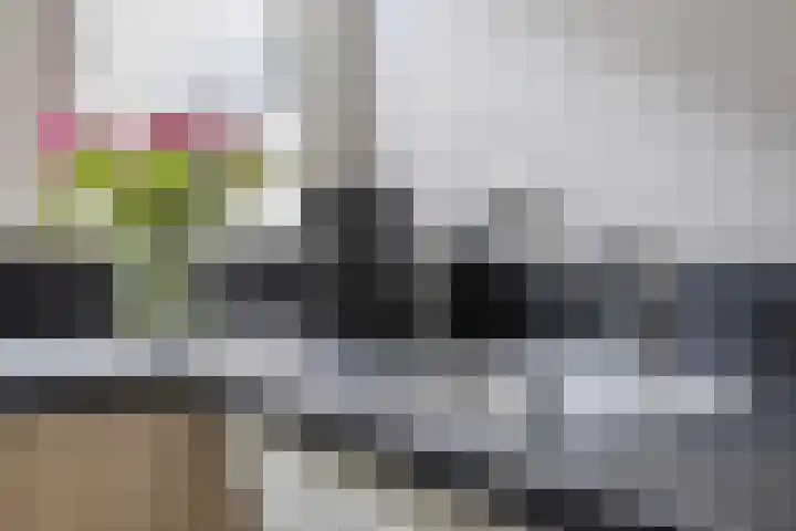 Kanariesprenk 255 Vlissingen thumbnail 11