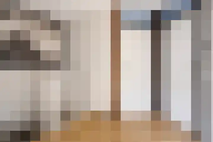 Kanariesprenk 255 Vlissingen thumbnail 13