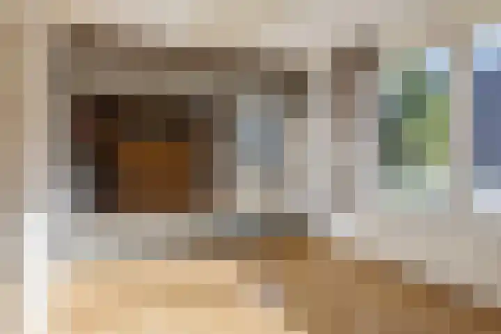 Kanariesprenk 255 Vlissingen thumbnail 14