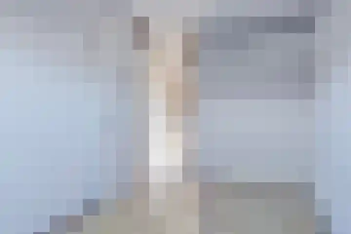 Kanariesprenk 255 Vlissingen thumbnail 17