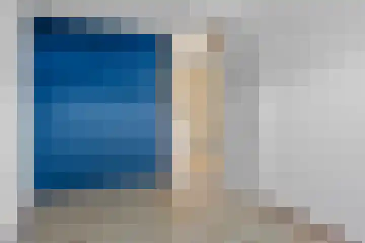 Kanariesprenk 255 Vlissingen thumbnail 19