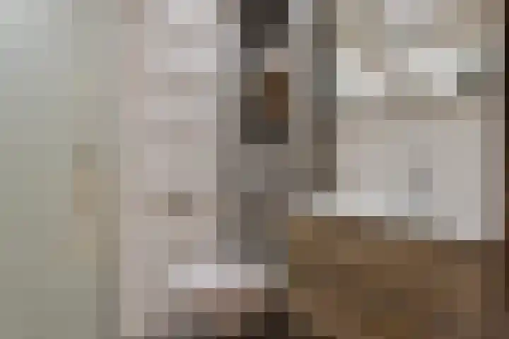 Kanariesprenk 255 Vlissingen thumbnail 20