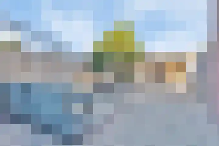 Kanariesprenk 255 Vlissingen thumbnail 23