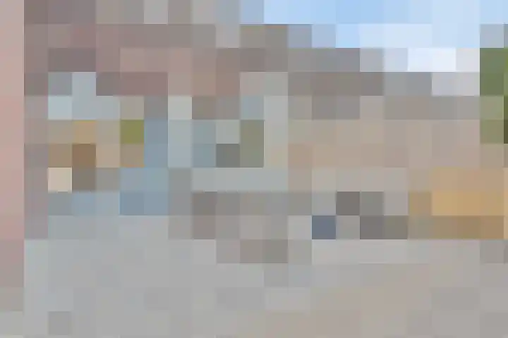 Kanariesprenk 255 Vlissingen thumbnail 24