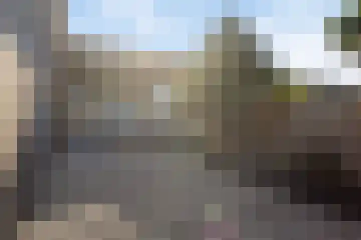 Kanariesprenk 255 Vlissingen thumbnail 25