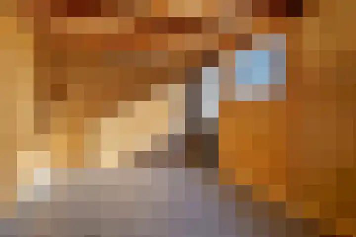 Kanariesprenk 255 Vlissingen thumbnail 27