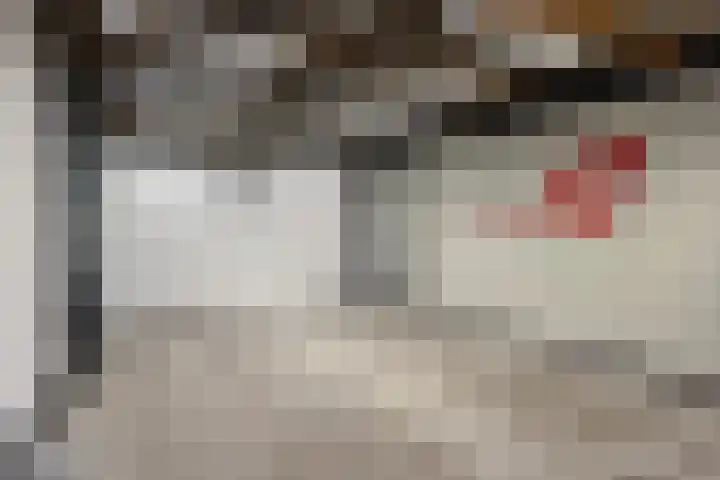 Kanariesprenk 255 Vlissingen thumbnail 30
