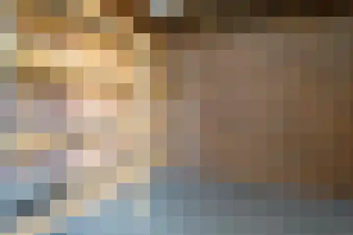 Kanariesprenk 255 Vlissingen thumbnail 31