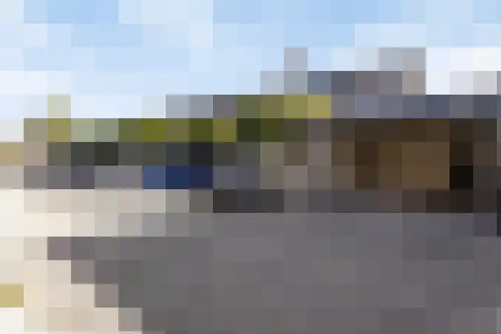 Kanariesprenk 255 Vlissingen thumbnail 32