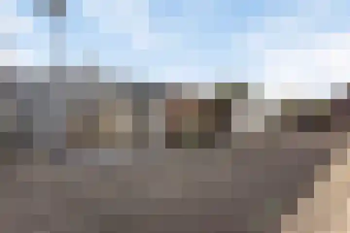 Kanariesprenk 255 Vlissingen thumbnail 33