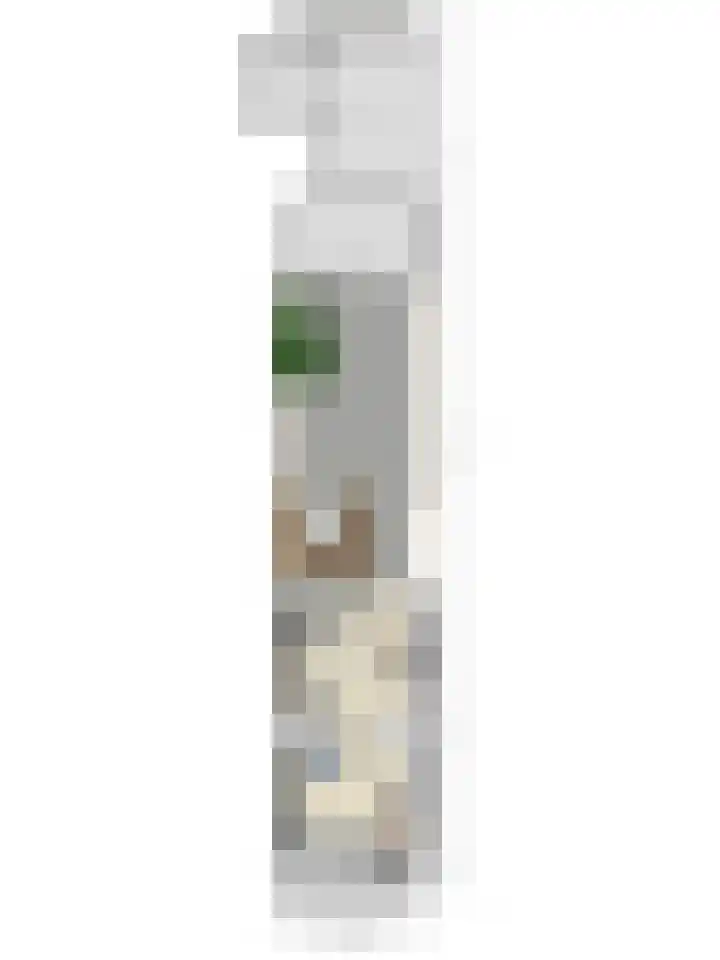 Kanariesprenk 255 Vlissingen thumbnail 37
