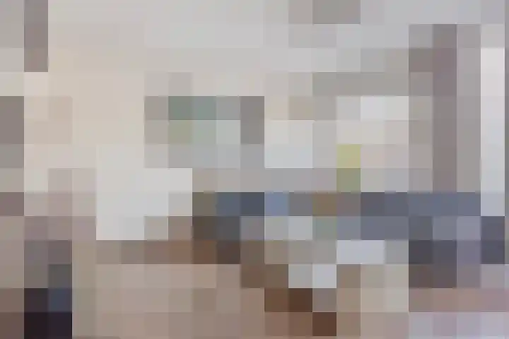 Kanariesprenk 255 Vlissingen thumbnail 5