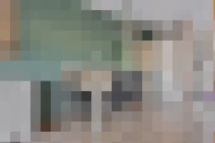 Kanariesprenk 255 Vlissingen thumbnail 6