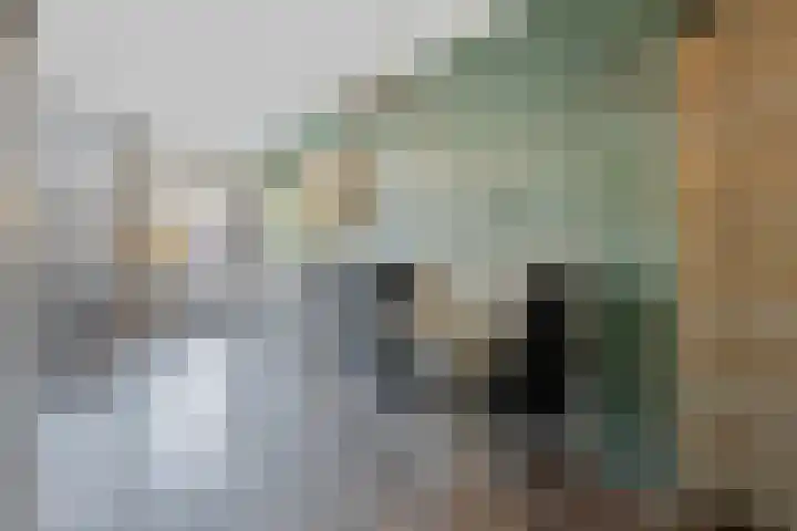 Kanariesprenk 255 Vlissingen thumbnail 7