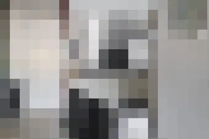 Kanariesprenk 255 Vlissingen thumbnail 8