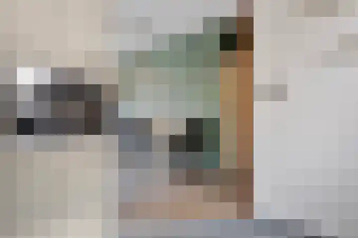 Kanariesprenk 255 Vlissingen thumbnail 9