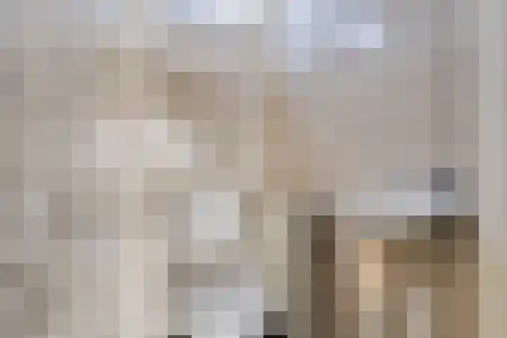 Kanariesprenk 27 Vlissingen thumbnail 10