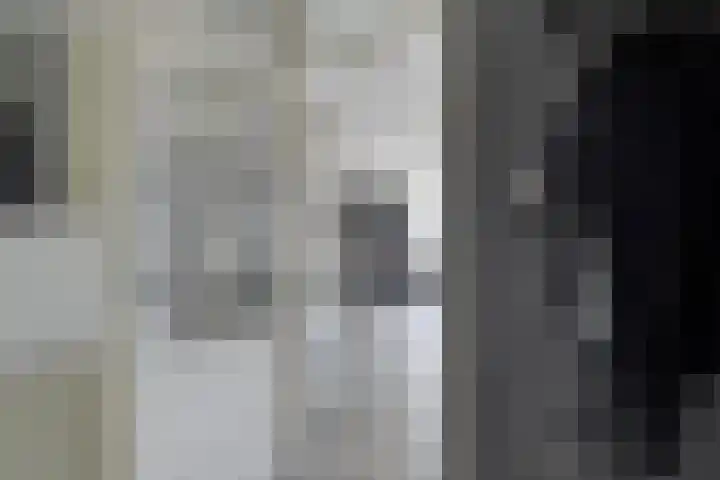 Kanariesprenk 27 Vlissingen thumbnail 11