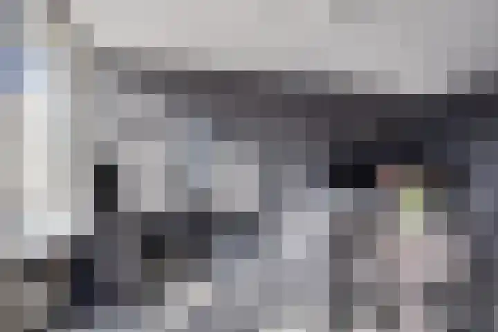 Kanariesprenk 27 Vlissingen thumbnail 13