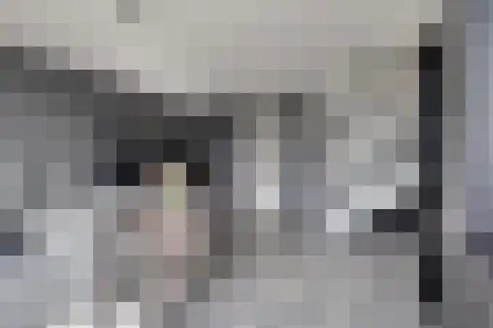 Kanariesprenk 27 Vlissingen thumbnail 14