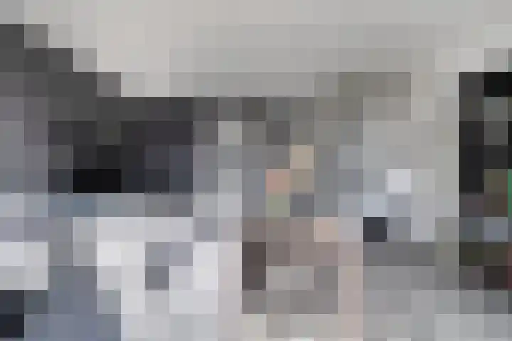 Kanariesprenk 27 Vlissingen thumbnail 15