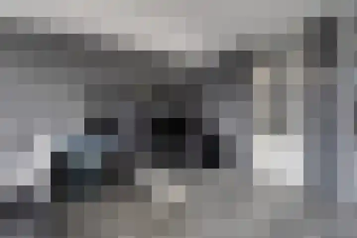 Kanariesprenk 27 Vlissingen thumbnail 16
