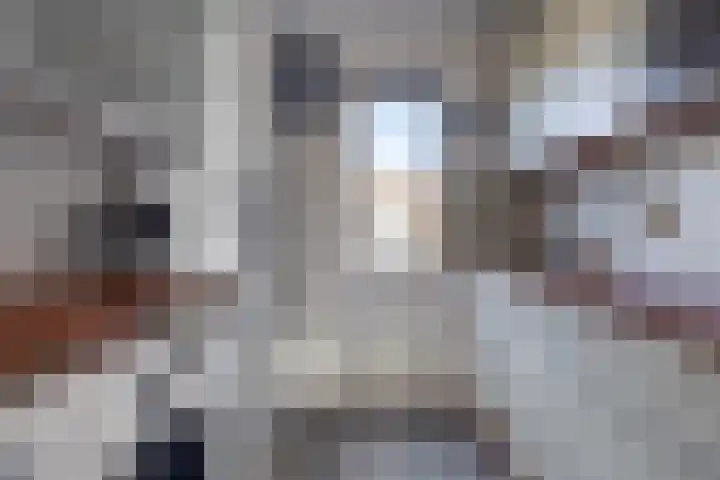 Kanariesprenk 27 Vlissingen thumbnail 17
