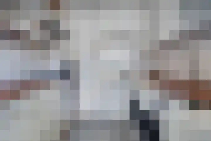 Kanariesprenk 27 Vlissingen thumbnail 18