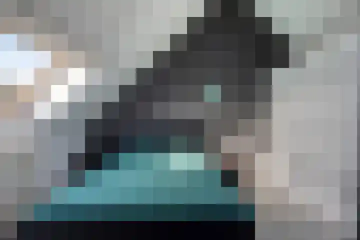 Kanariesprenk 27 Vlissingen thumbnail 20