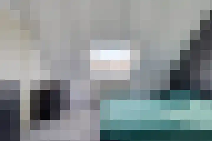Kanariesprenk 27 Vlissingen thumbnail 21