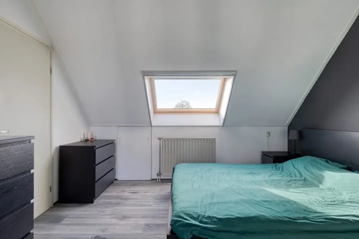 Kanariesprenk 27 Vlissingen thumbnail 21