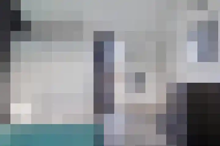 Kanariesprenk 27 Vlissingen thumbnail 22