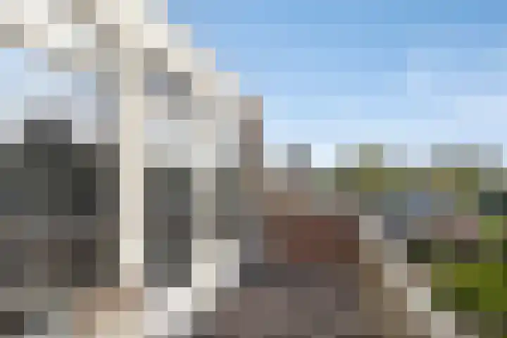 Kanariesprenk 27 Vlissingen thumbnail 25