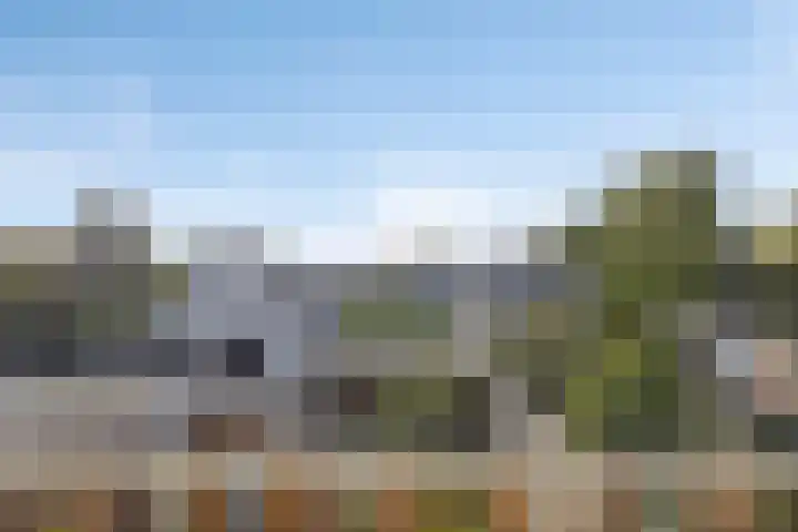 Kanariesprenk 27 Vlissingen thumbnail 26