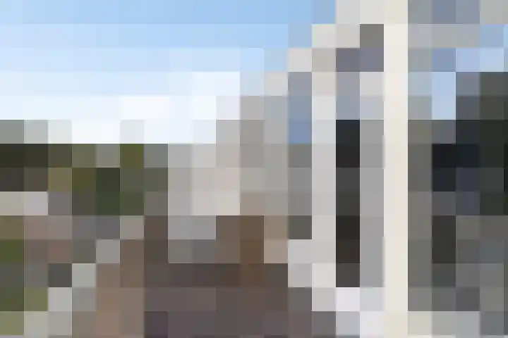 Kanariesprenk 27 Vlissingen thumbnail 27